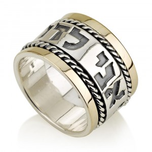 Ani Ledodi Spinning Ring in 14K Gold and Sterling Silver by Ben Jewelry Jewish Jewelry