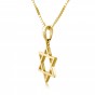 14k Yellow Gold Pendant with Star of David in Simple Design